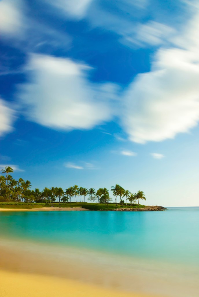 IMG_6221_edit_filtered